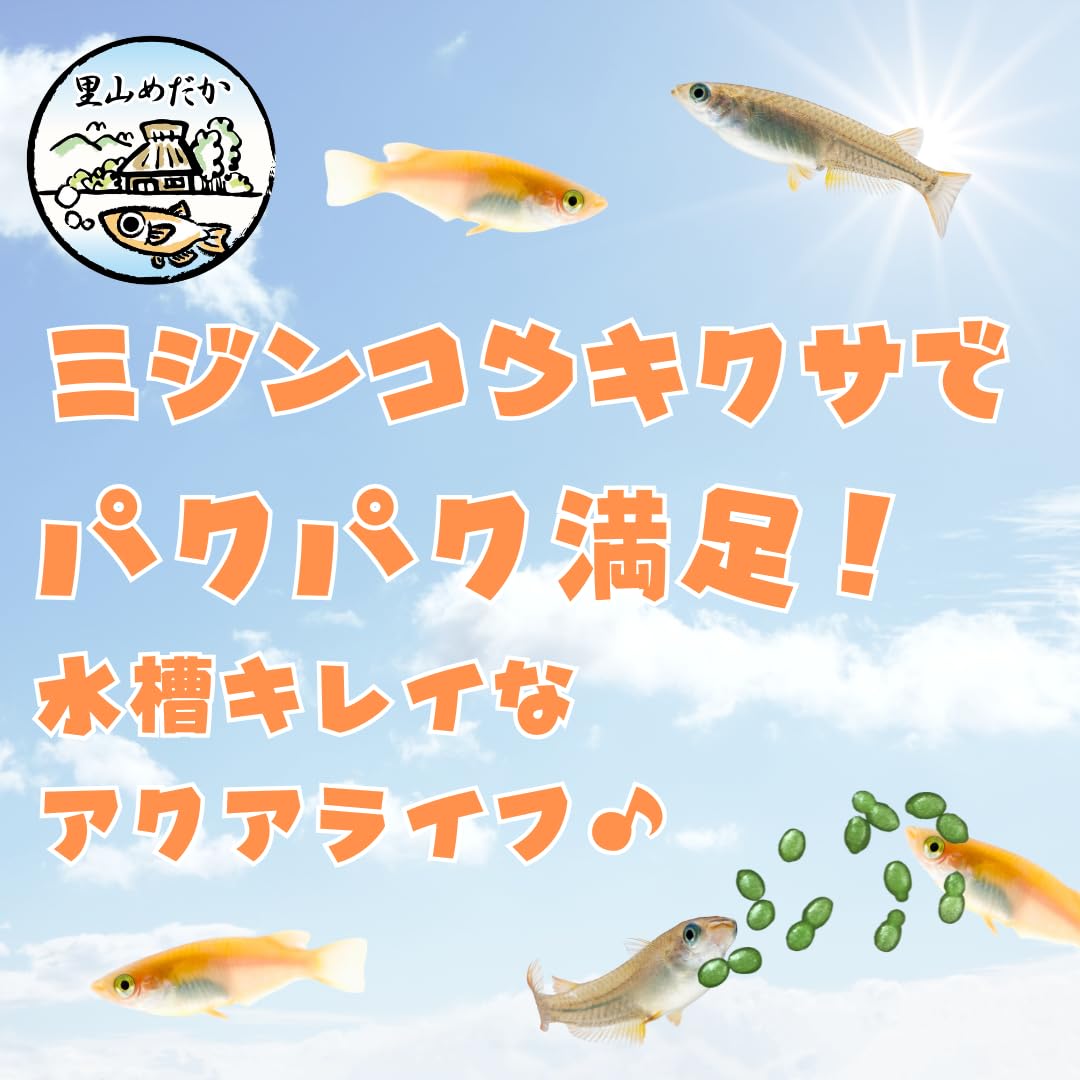 Amazon | 里山めだか ミジンコウキクサ 栄養フード 補助飼料 300ml
