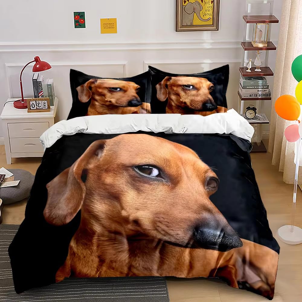 Pościel 200 x 220 cm, zestaw pościeli z zamkiem błyskawicznym dla dorosłych i dzieci, miękka, oddychająca poszewka na kołdrę z mikrofibry + 2 poszewki na poduszkę 80 x 80 cm