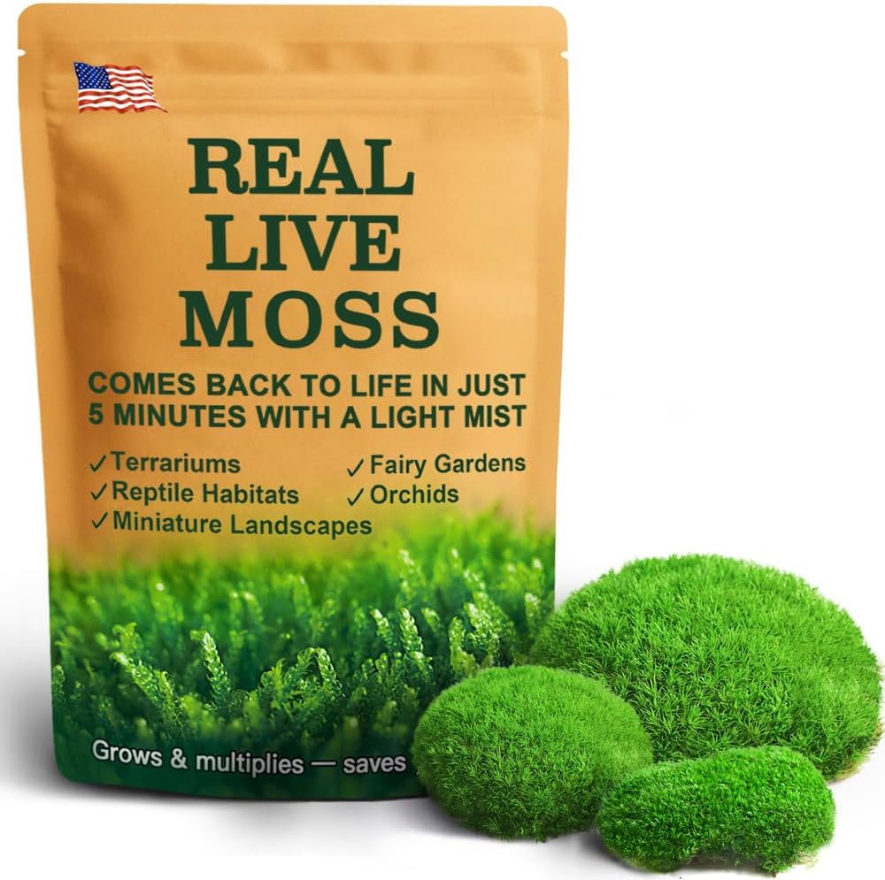 Fresh Real Live Moss Variety Pack for Orchids & Mini Landscapes DIY Terrariums, Bonsai, Reptile Habitats & Potted Plants | Revives Quickly with Mist, Soft Green Texture (Whole 8″x8″ Leucobryum Moss)