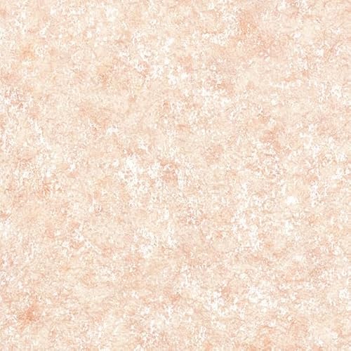 HM-12161 TQc HOMEtA NbVtA v[p^[ }CA y1m×z