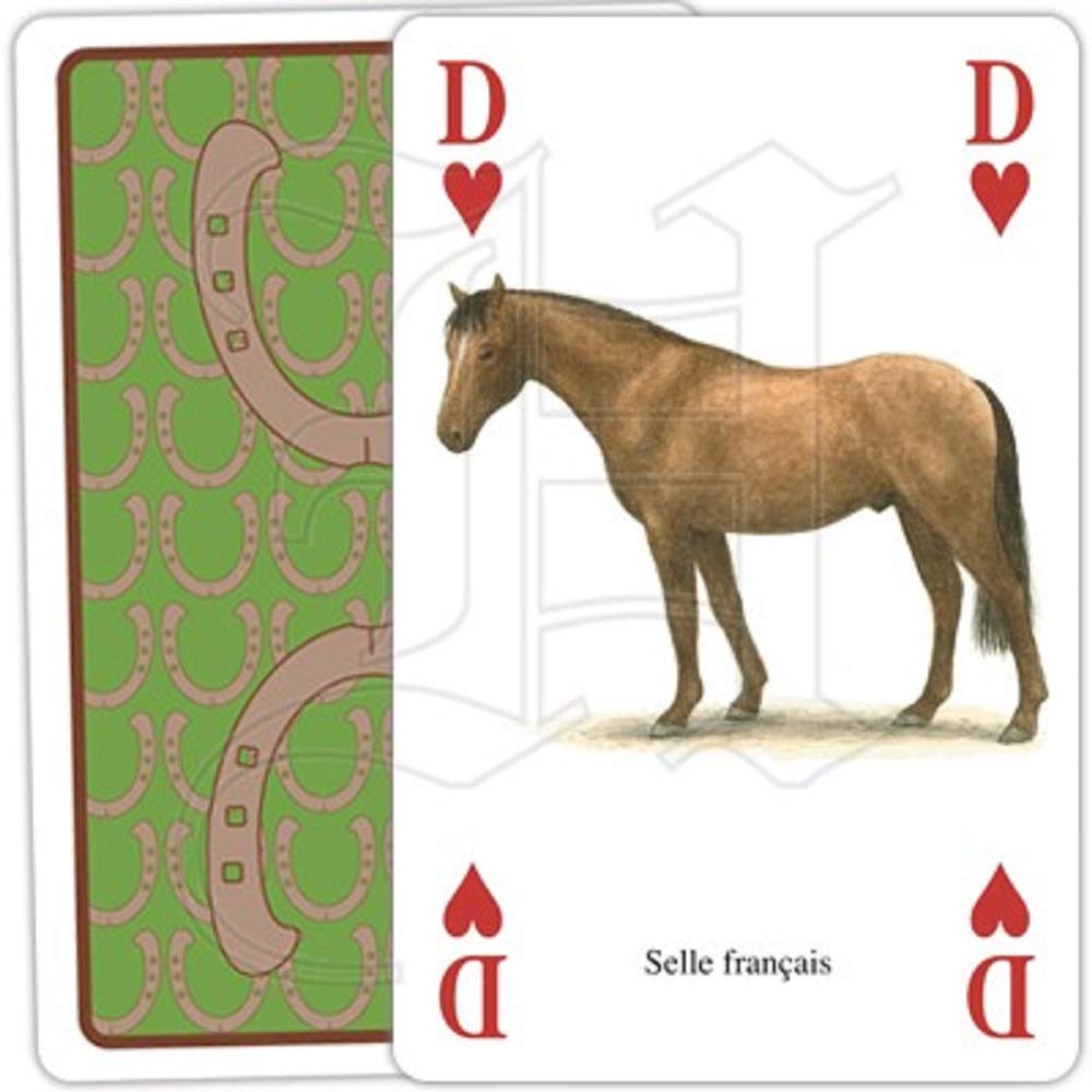 TITLE HOBBY HORSE playing cards, Rare and collectible deck on the back
