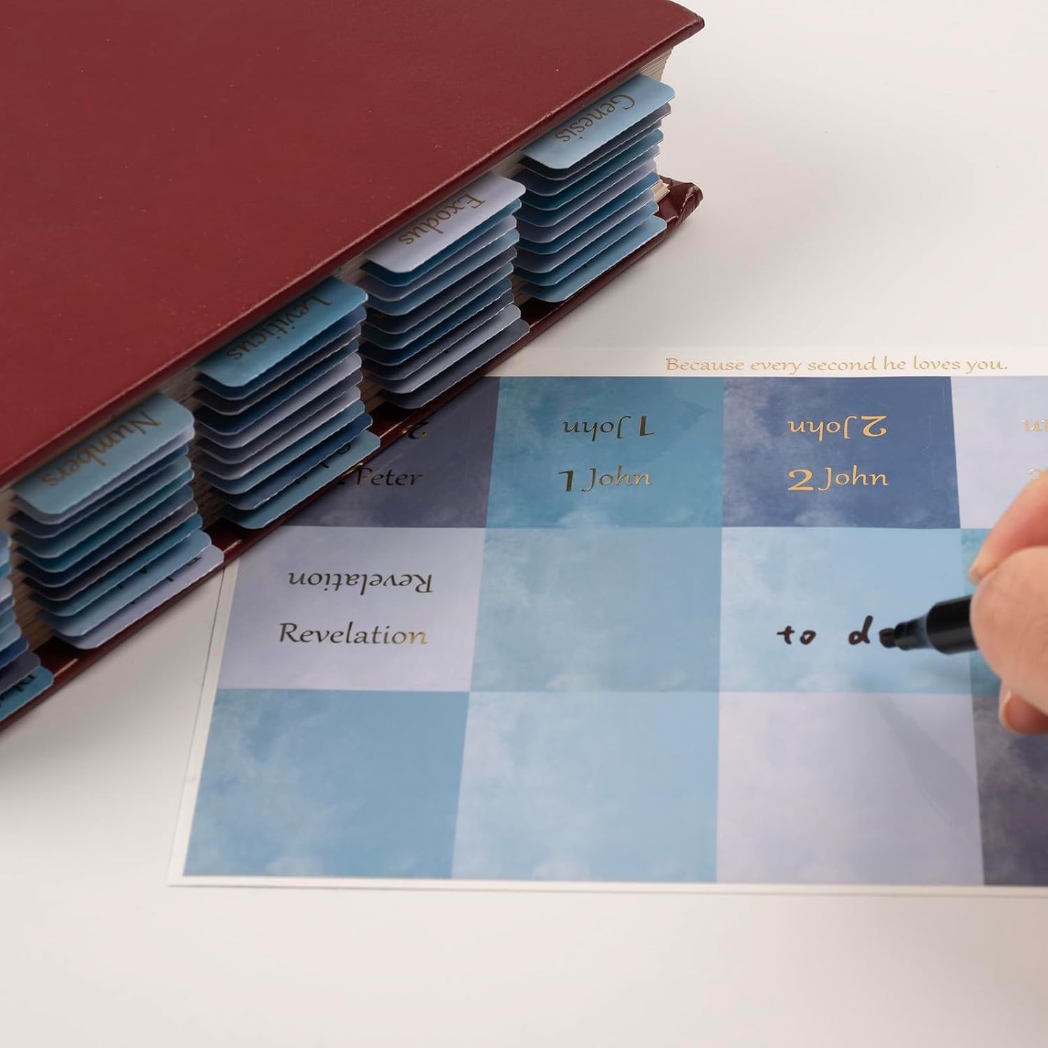  Laminated Bible Tabs, Gold Foil Large Print Bible Study Journaling Supplies, Christian Gift for Women and Men, Index Tabs for Old and New Testament, She Reads Truth Bible (Watercolor Blue) thumbnail