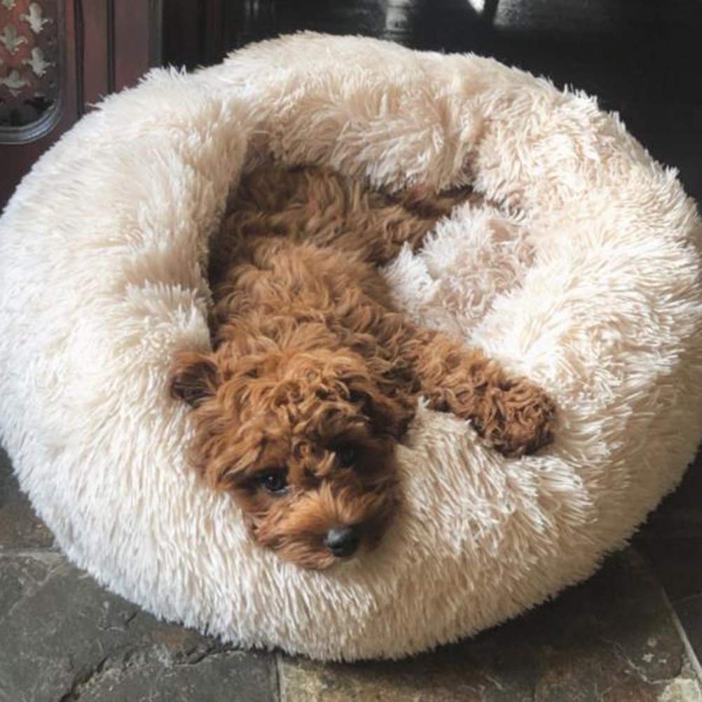 Weiches Plüsch Hundebett Sofa – Waschbar, Mit Erhöhtem Rand | Größen M Bis XXXL Für Hunde Bis 45 Kg