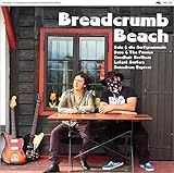  VARIOUS - BREADCRUMB BEACH-CONTEMPORARY AUSTRIAN SURF MUSI (1 LP)