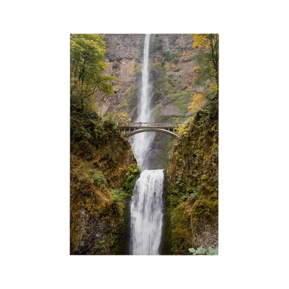CafePressMultnomah Falls Oregon Rectangle Magnet, 3"x2" Refrigerator Magnet