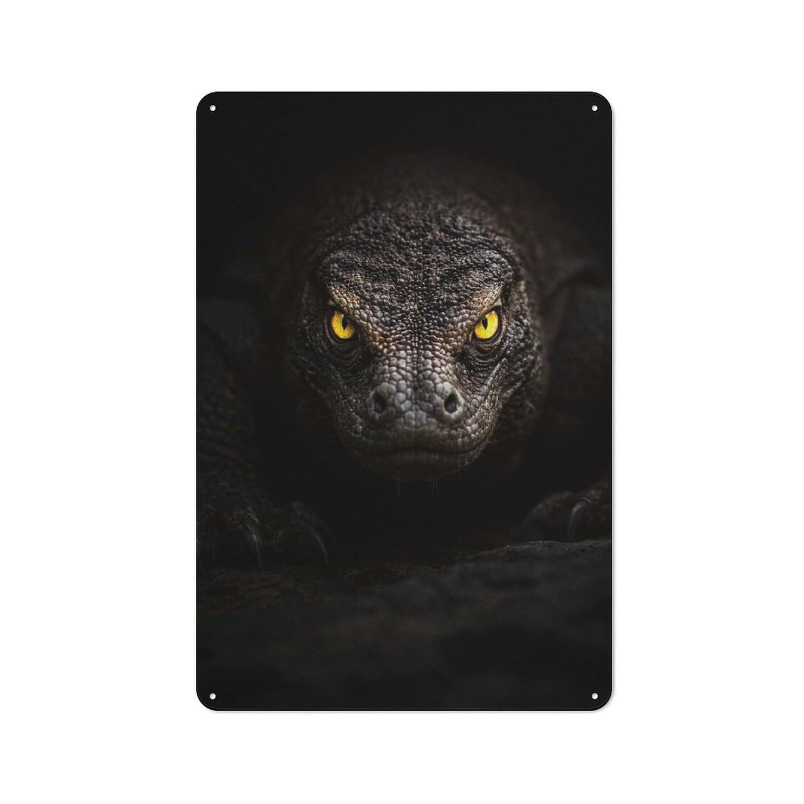 Junmoney Style-13 Tin Wall Plaque 30X20cm With Komodo Dragon Close-Up For Guest Room Or Hallway, A Decorative Christmas Gift For Home Decor Collectors
