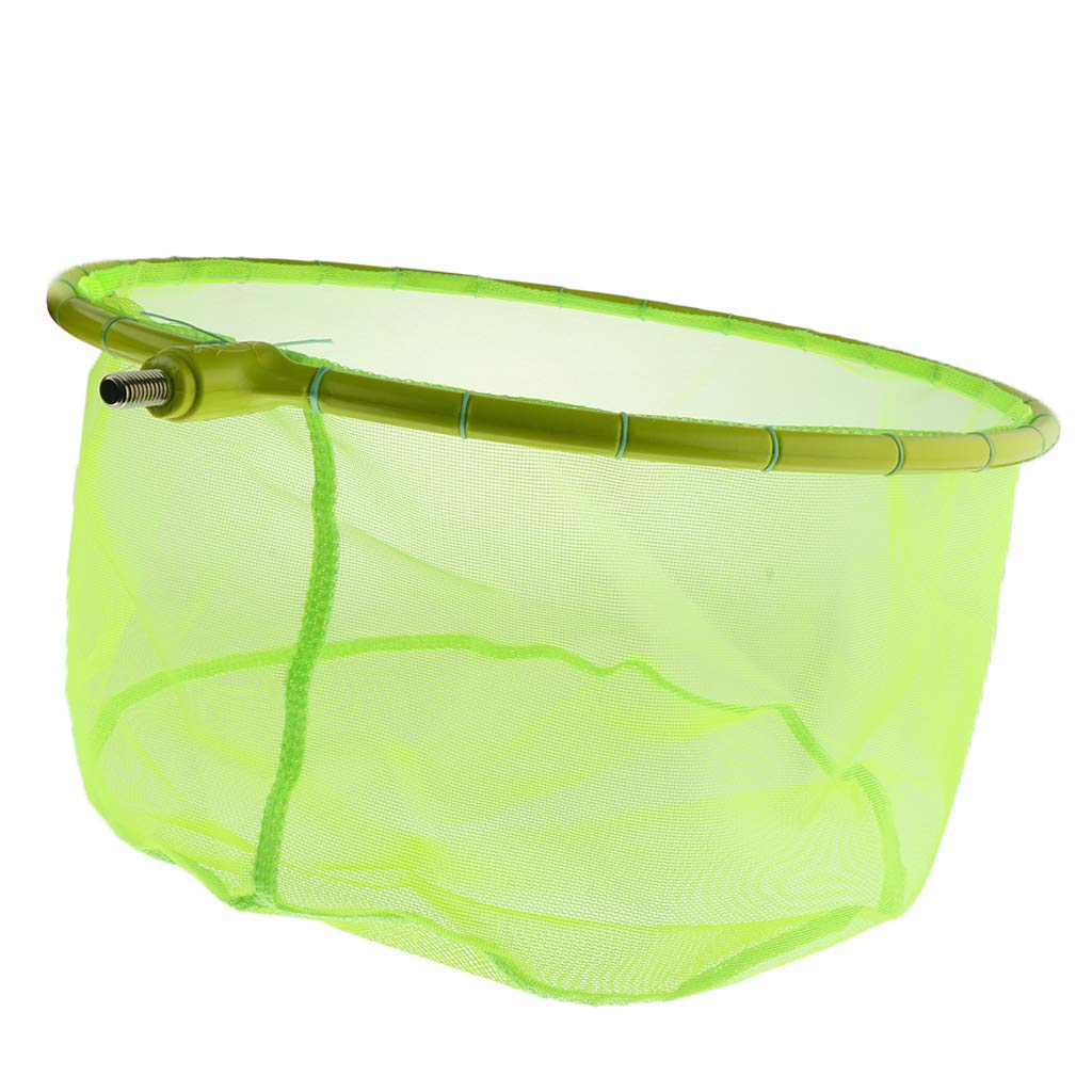 Testa Del Guadino Da Pesca In Gomma Grigia Greys, Tutte Le Misure Disponibili, Attrezzatura Professionale