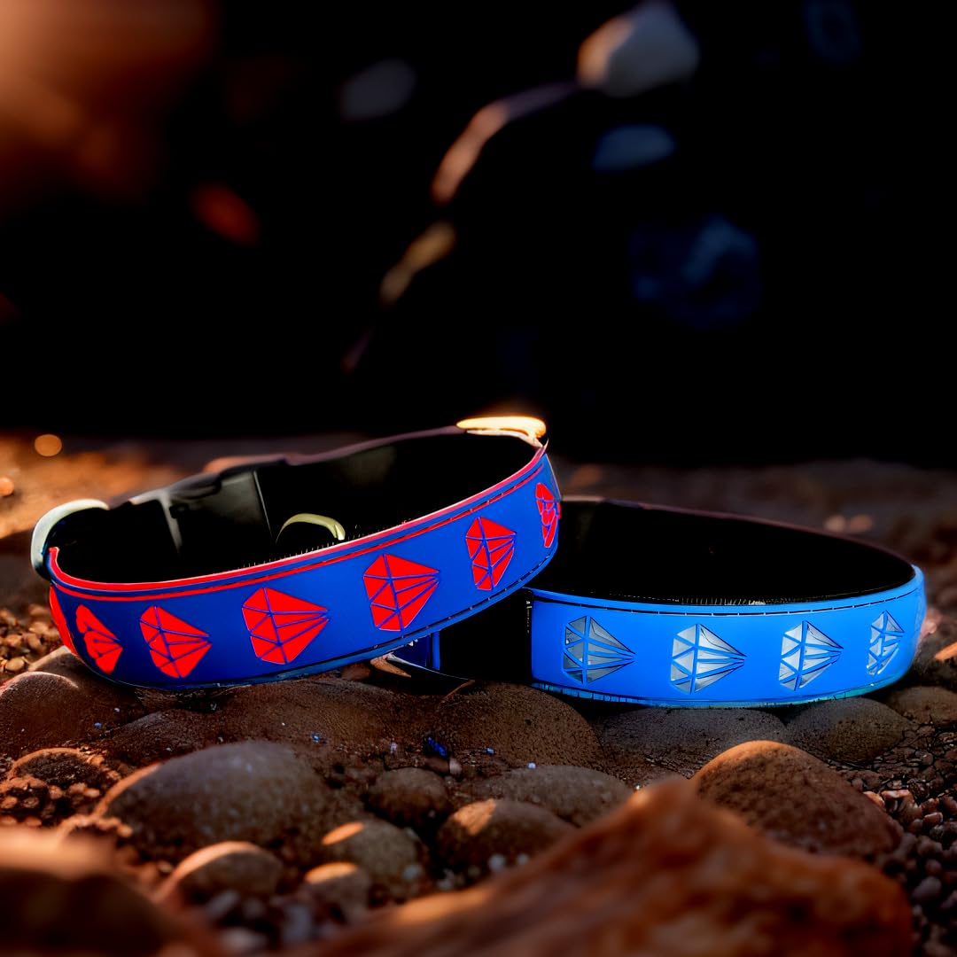 Collier lumineux pour chien résolvant le manque de visibilité