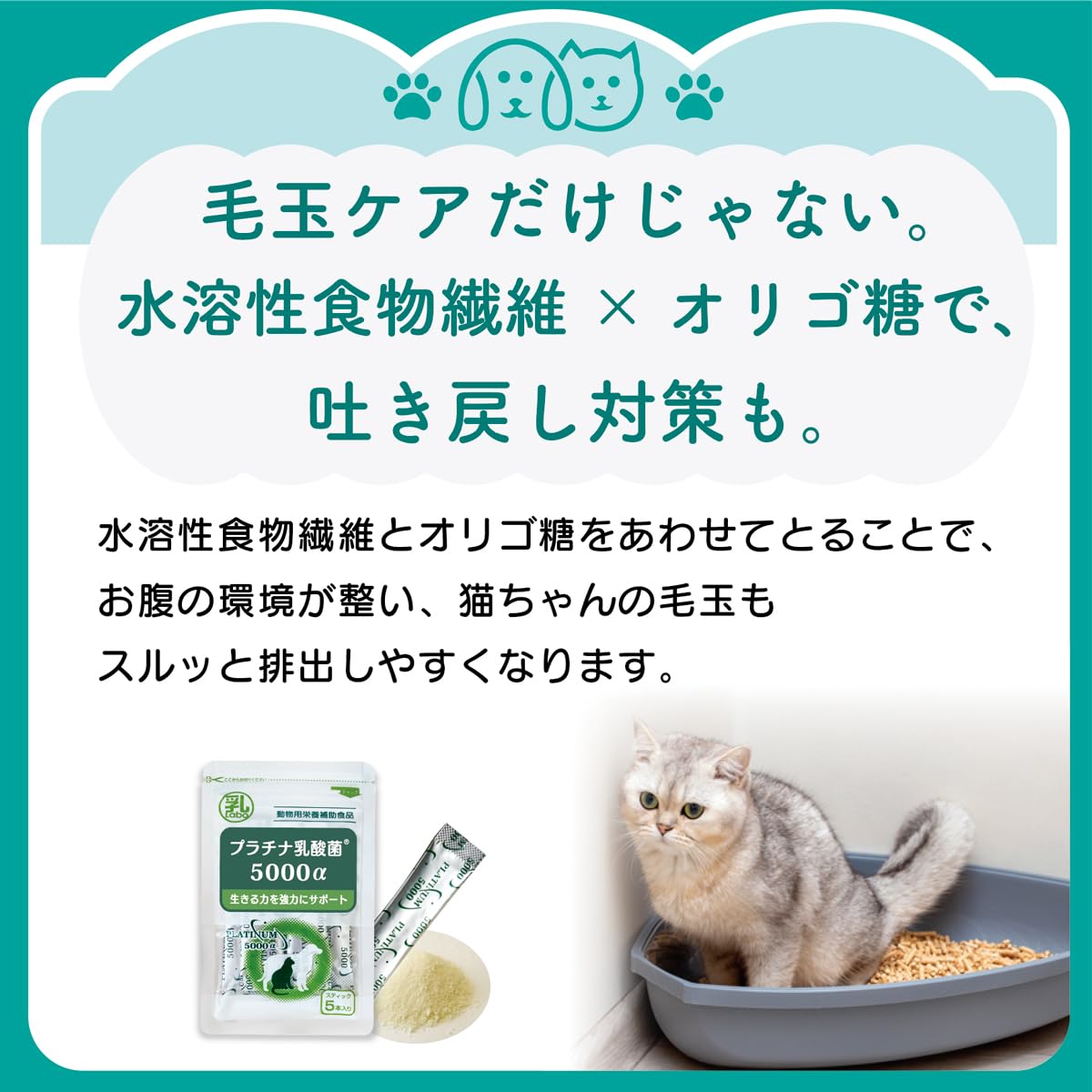 Amazon | 乳酸菌ラボ プラチナ乳酸菌5000α 犬 猫 用 サプリメント (30