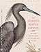 The Curious Mister Catesby