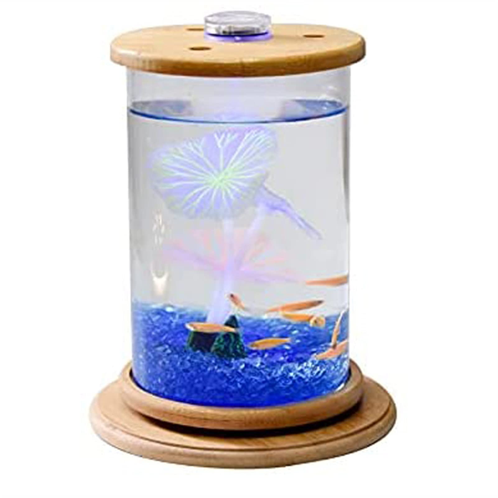 Buy XLYYLM Creative Rotating Mini Fish Tank, Led Light Ecosystem