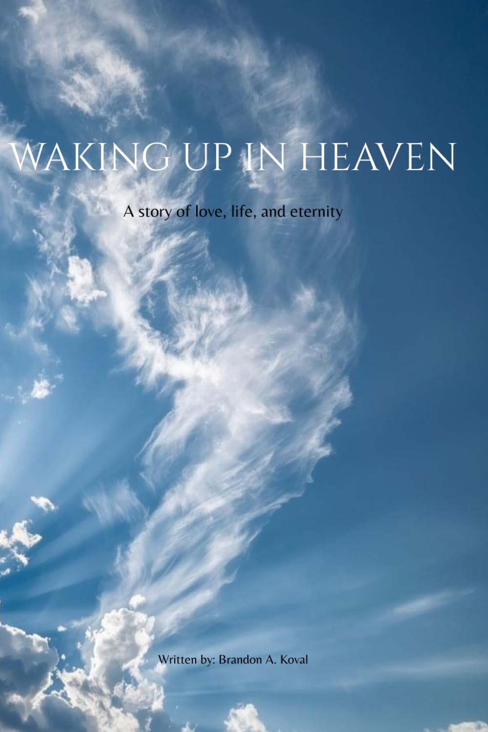 Waking up in Heaven: A Story of Love, Life, and Eternity