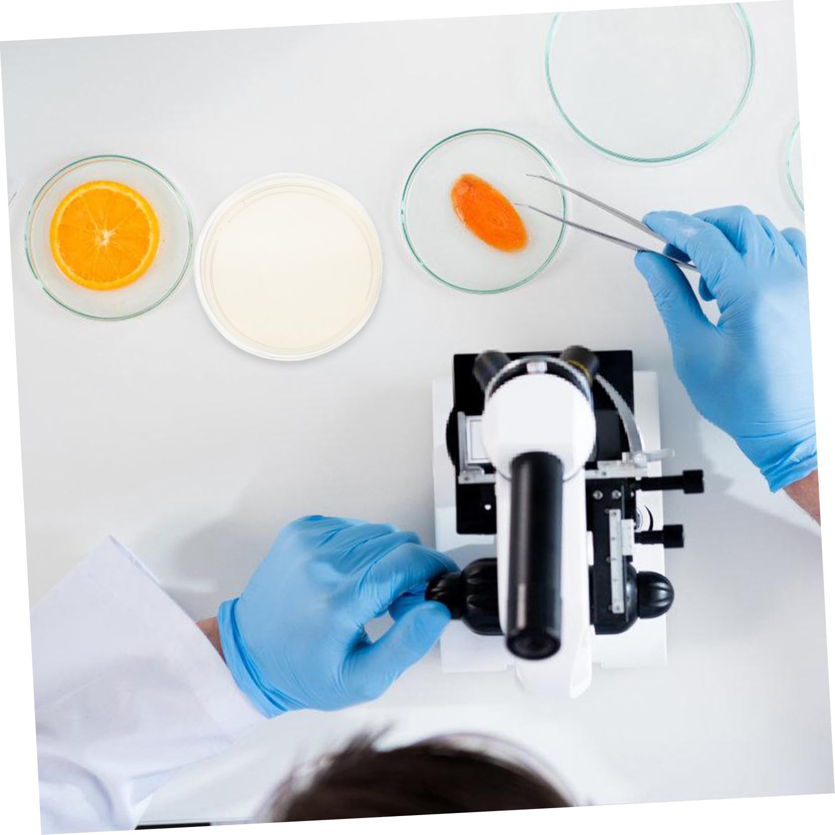 MAGICLULU Piastre di Petri Agar Nutriente Preversate 20 Pezzi Piatto Rotondo in Ps per Esperimenti Scientifici e Coltivazione Microbica in Laboratorio