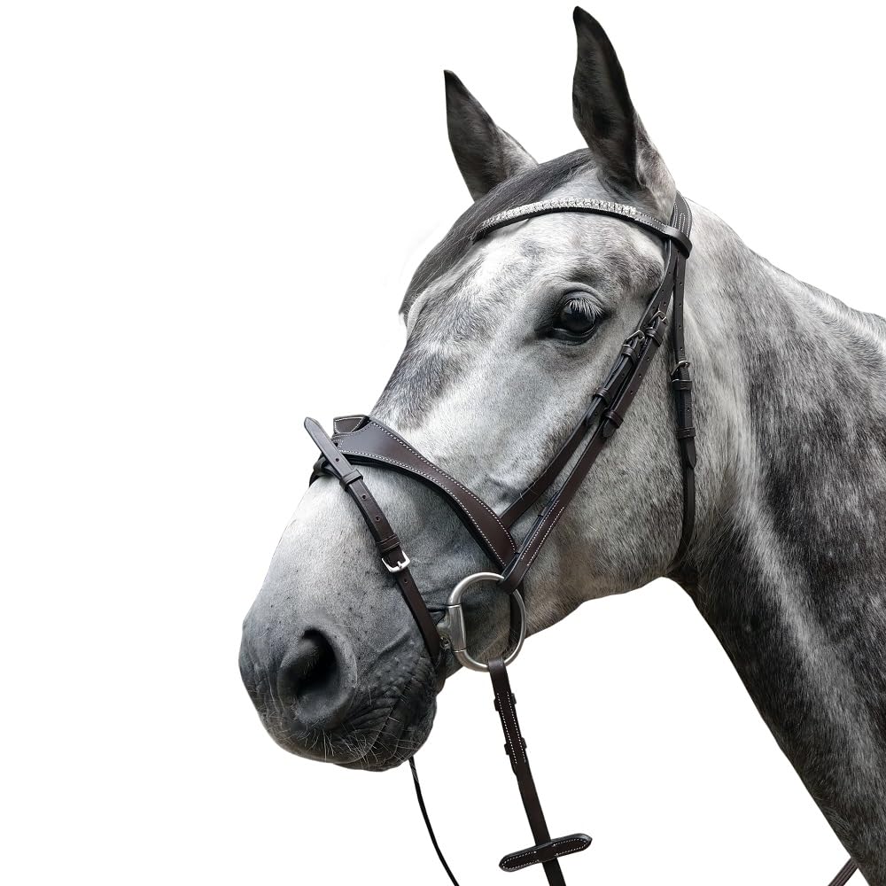 Horses, Briglia Anatomica Modello Tasting PRO, in Cuoio con Sopratesta Imbottito e Forma Anatomica, Ideale per Cavalli Giovani o Sensibili, Nero COB