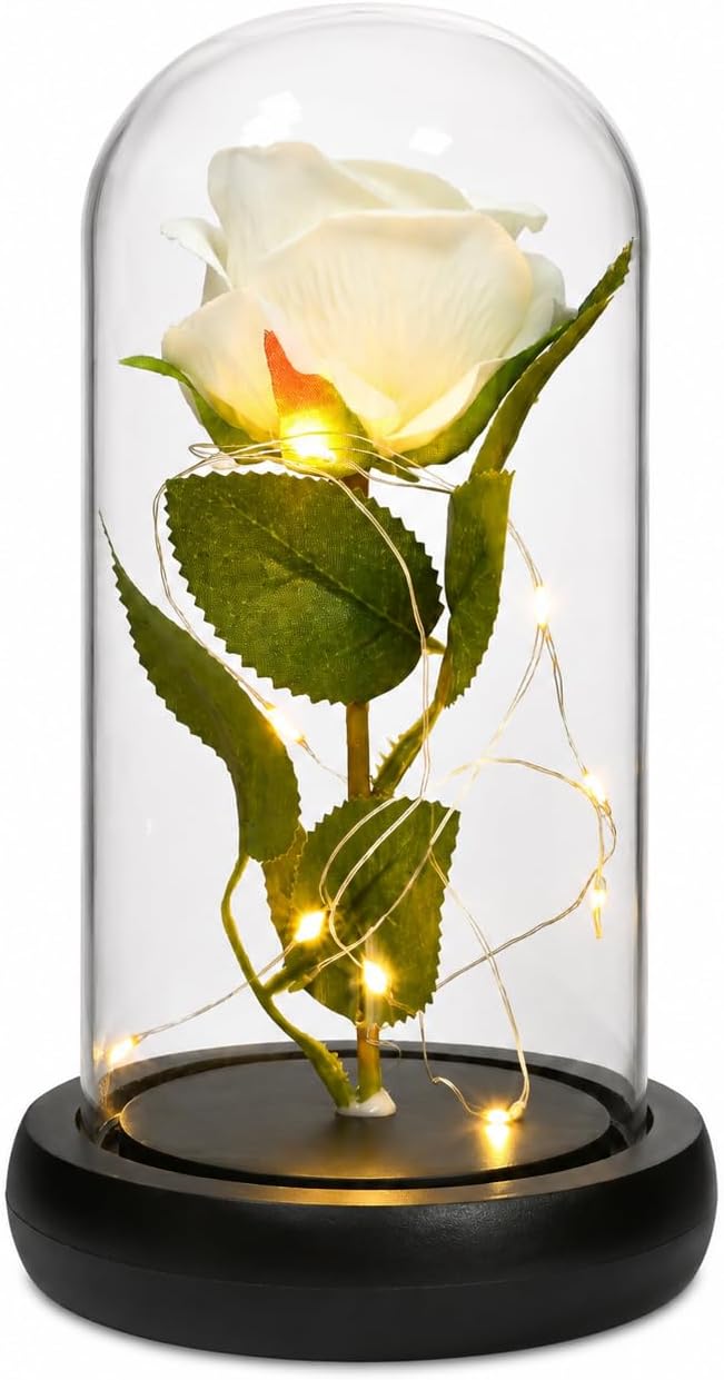 QUELIEN Mothers Day Carnation Gifts for Mom Carnation Flowers Gifts Pink Carnation in Glass Dome Valentine Gifts for Women Daughter Mom Wife Girlfriend