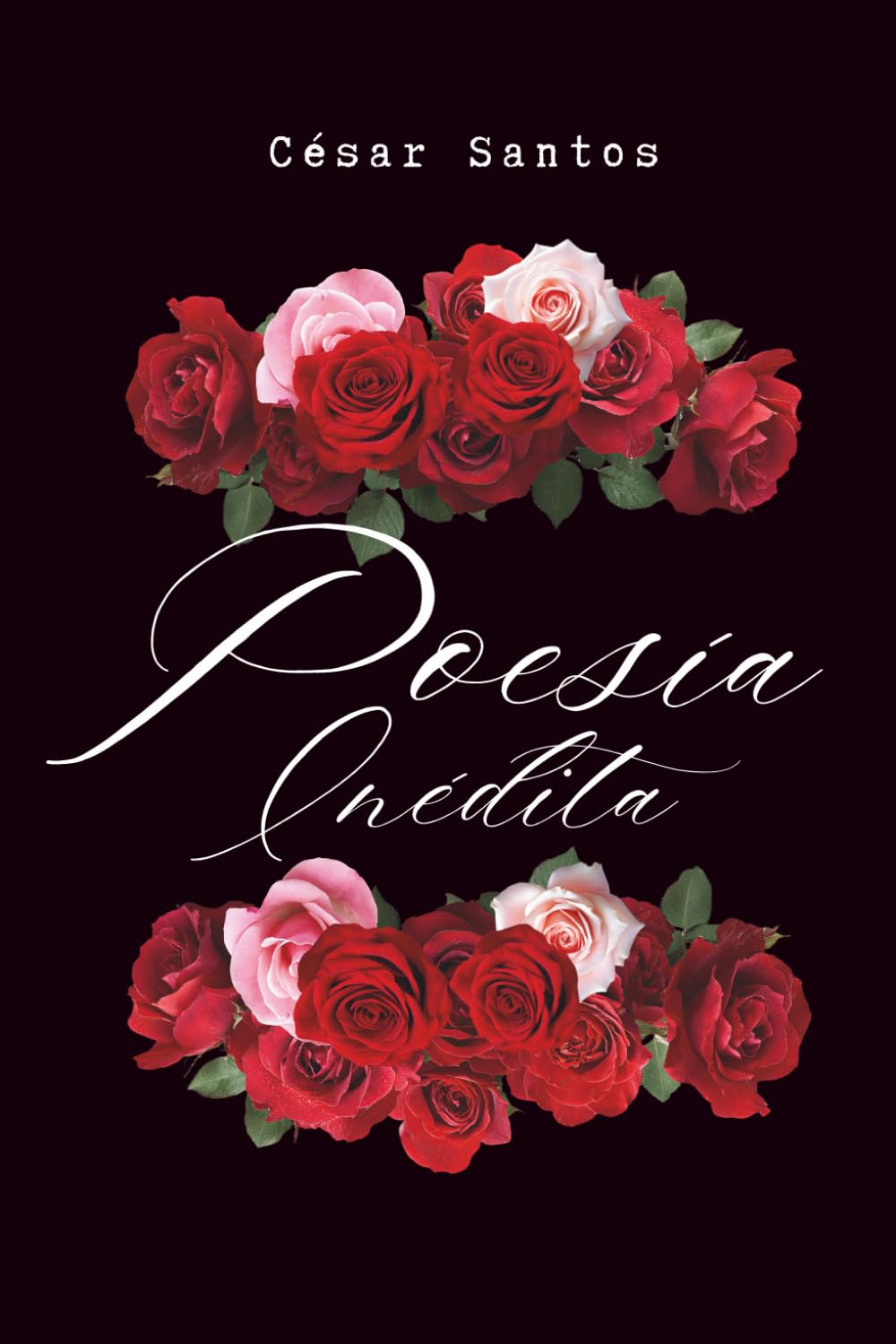 Poesía Inédita