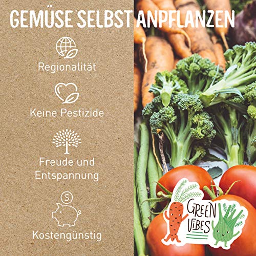valeaf BIO Gartenjahr Samen Set I Gemüsesamen das ganze Jahr I 12 Monate Samen Gemüse I Gemüsesamen Set für Hochbeet… – Bild 8