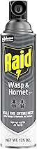 Raid Wasp & Hornet Killer Spray, Bug Killer Kills the Entire Nest, Kills Paper Wasps, Yellow Jackets, Mud Daubers and more, 17.5oz