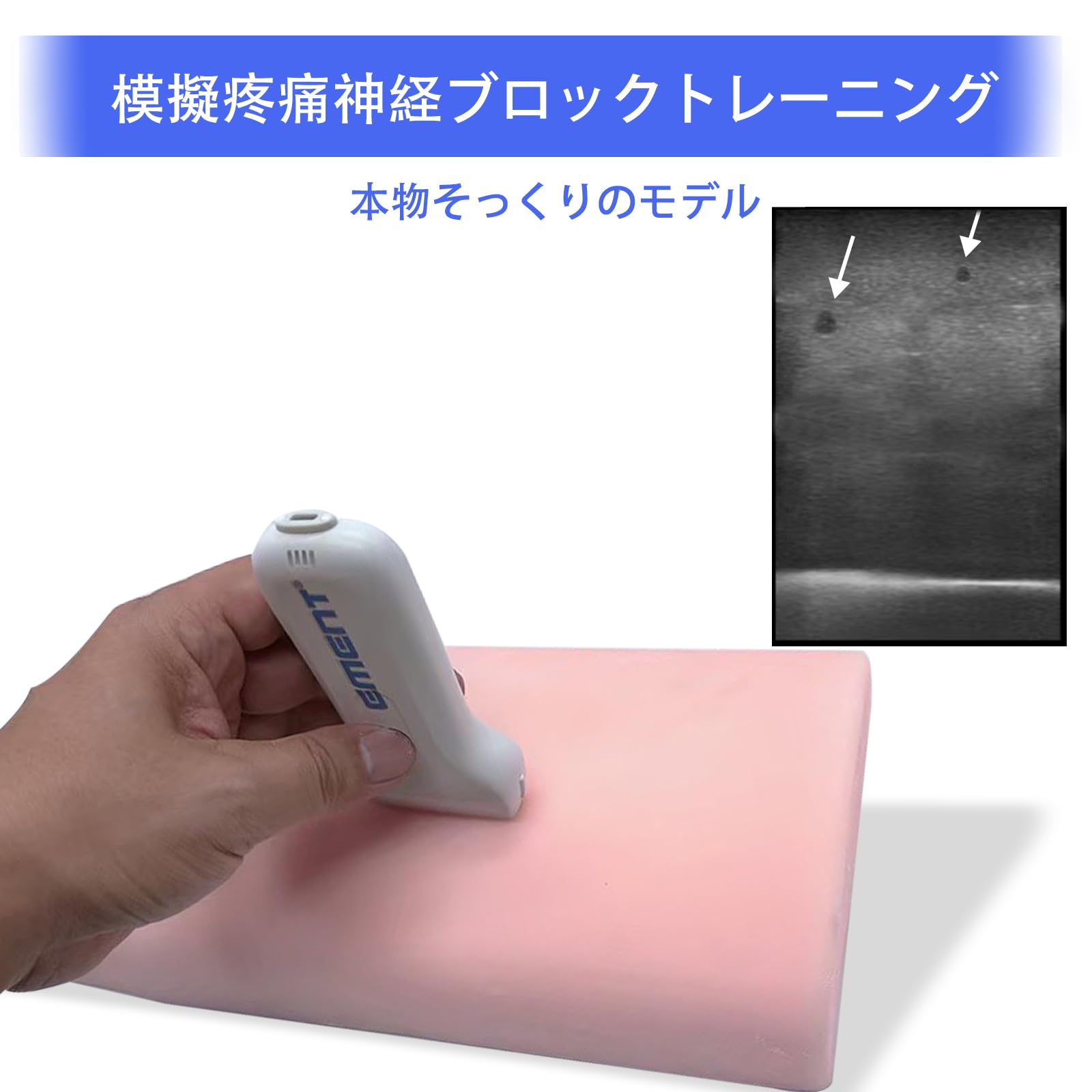 Amazon.co.jp: 超音波血管穿刺シミュレーター - 針の挿入と穿刺の練習