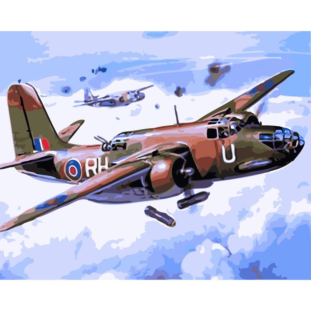 Shukqueen Adults Paint by Numbers, Canvas Painting Kit for Beginner and with Pigment, Brushes, Wall Decoration, Airplane, 24x30 Inch (Frameless)