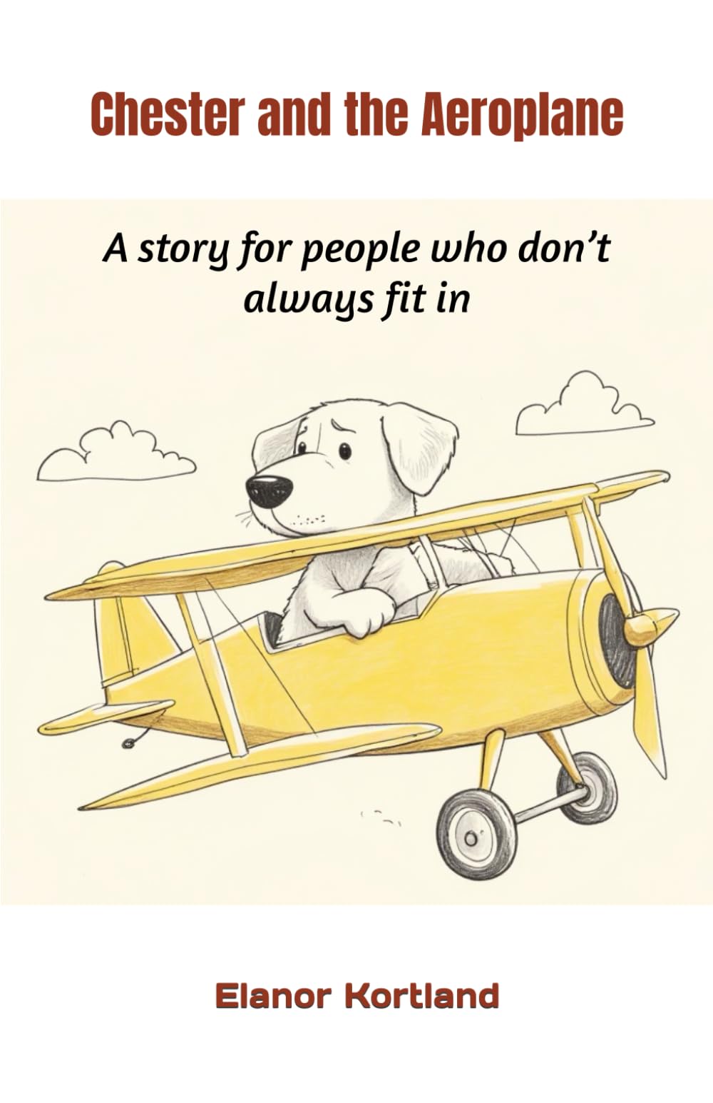 Chester and the Aeroplane: A story for people who don’t always fit in