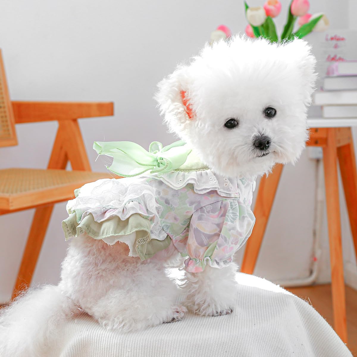 BT Bear Dog Dress,Bow Princess Tutu Dresses for Girl Dogs Cute Fashion Pet Skirt Apparel for Cats Small Medium Dogs Pets,Flower Green XL - Image 3