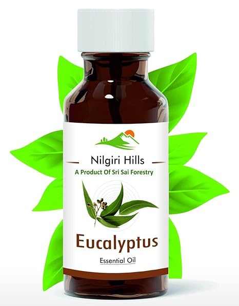 SRI SAI FORESTRY Eucalyptus Oil | 100% Natural and Pure Nilgiri Eucalyptus Aroma Essential Oil | Neelgiri Tel - 90 ml