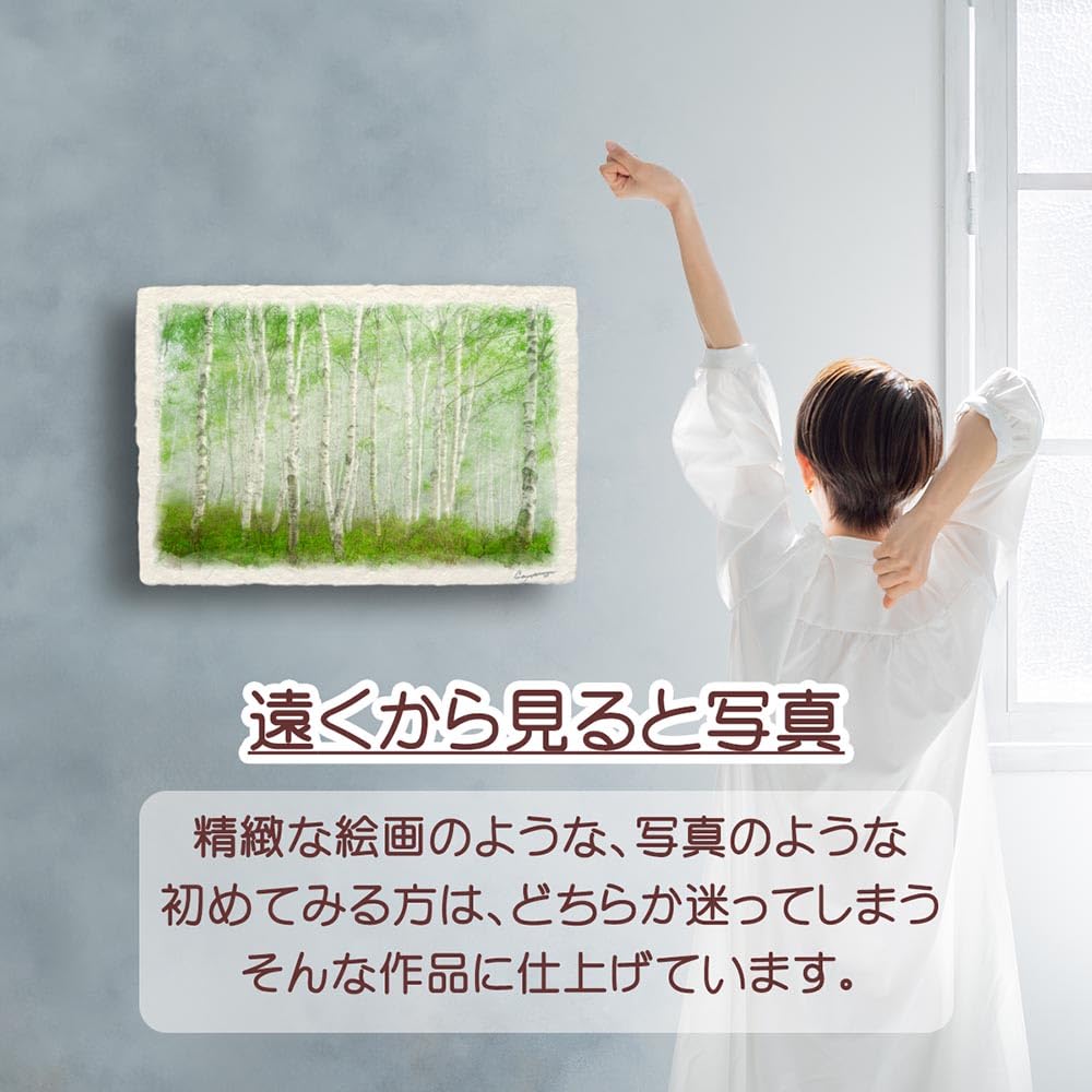 清水晶一・秋の白樺林 油絵 絵画 裏書有 インテリア 置物 オブジェ 掛軸 清水晶一・秋の白樺林 油絵 絵画 裏書有 インテリア 置物