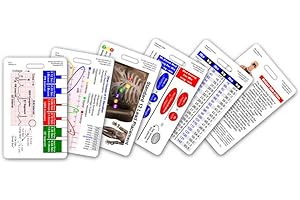 Mini Paramedic Pocket Reference Flash Cards