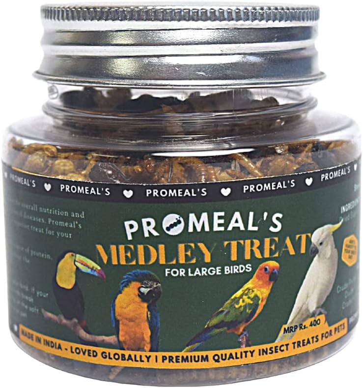 Medley Treat Insect Mix for Large Birds (30gm)