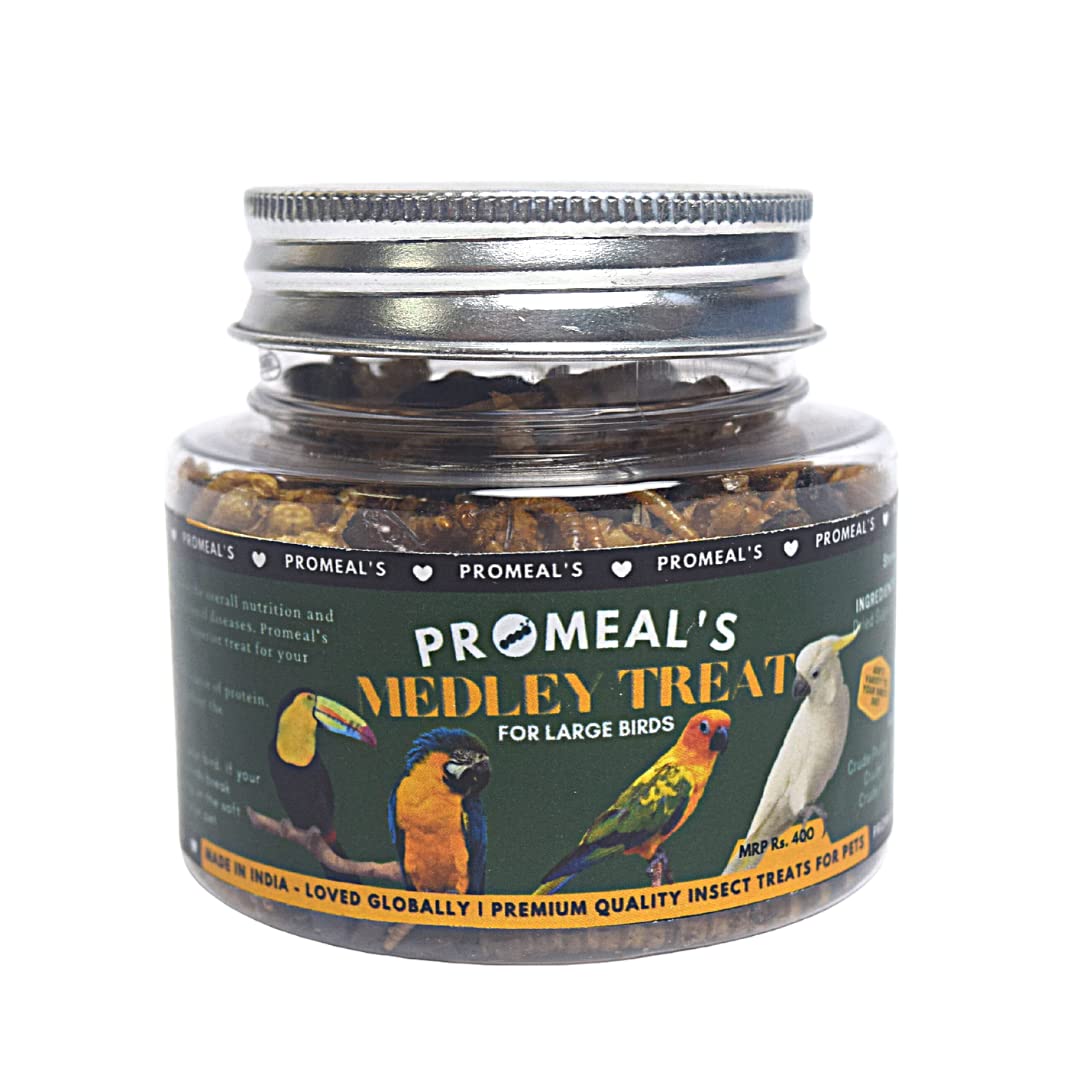 Medley Treat Insect Mix for Large Birds (30gm)