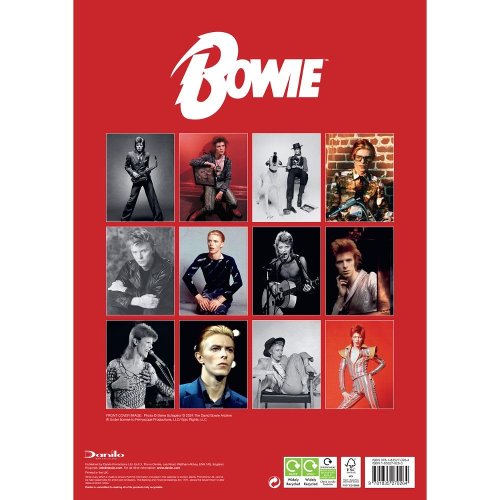 Official David Bowie A3 Calendar 2025: Original Danilo-Kalender [Mehrsprachig] [Kalender]