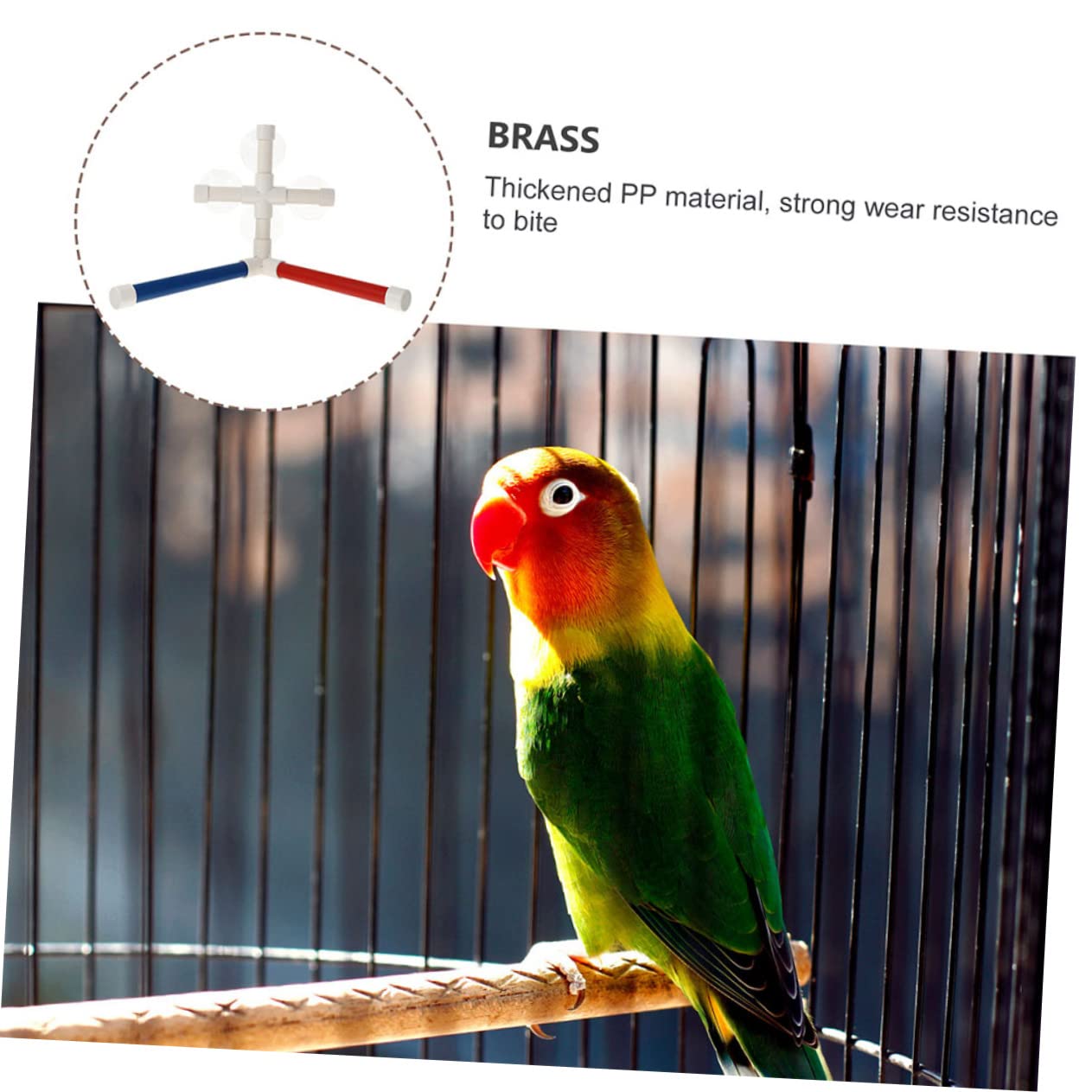 BESPORTBLE 3ensembles Support De Bain pour Oiseaux Perchoir De pour Perroquets Et Perruches Accessoire De Toilettage pour Oiseaux