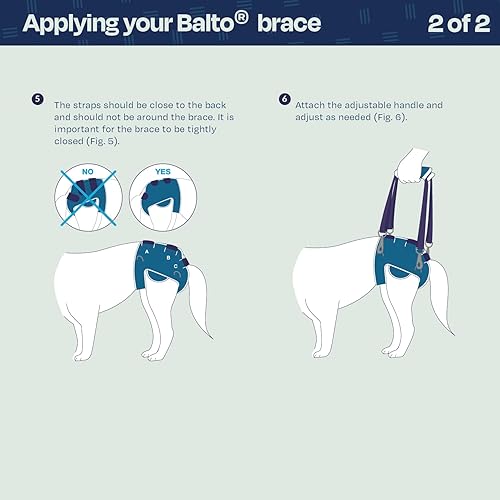 Vista 6 de Balto Life - Soporte para displasia de cadera, arnés de soporte de cadera para perro, soporte de compresión ajustable en el extremo trasero