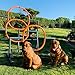 move and stic Gofi Agility Hundewippe wetterfest Hundetraining Hundesport Welpenspielzeug Wippe Dog Trainig - Minka und Fred 6044
