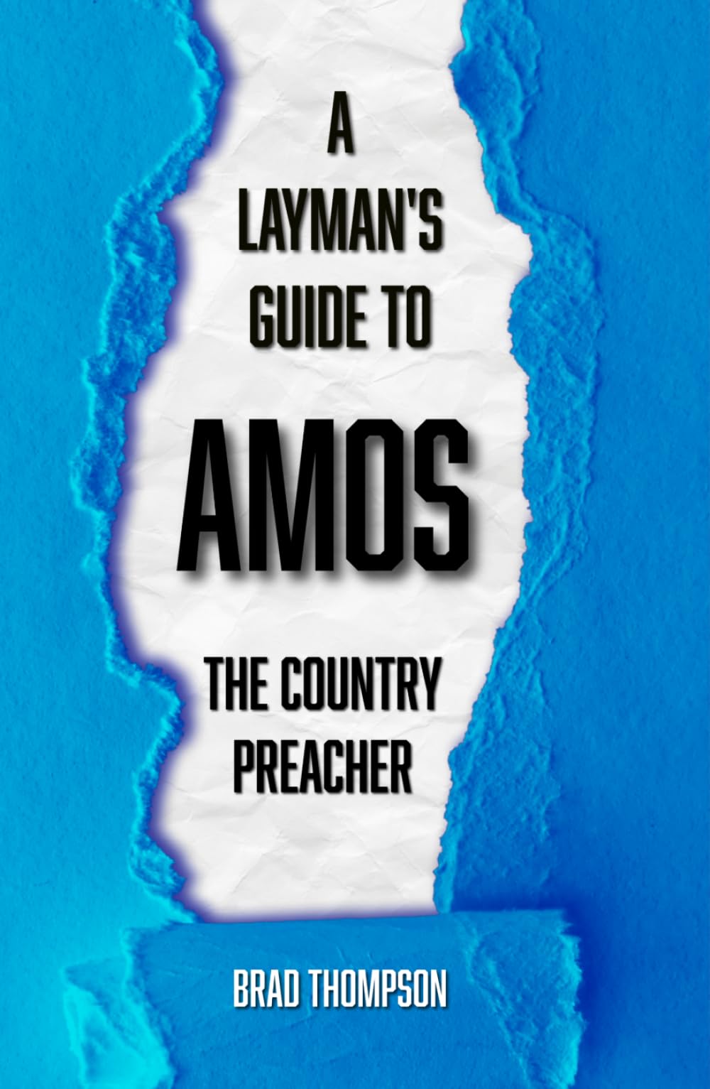 A Layman's Guide to Amos: A Country Preacher
