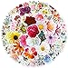 Molshine 50pcs Verschiedene Vinyl-Aufkleber-erstaunliche Serie wasserdichte Abziehbilder für DIY,Sammelalbum,Laptop,Umschlag,Gepäck,Kühlschrank,Skateboard (Blumen)