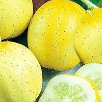 Vista 1 de 50 Lemon Cucumber Seeds for Planting Non GMO Heirloom Seeds Fresh Garden Seed