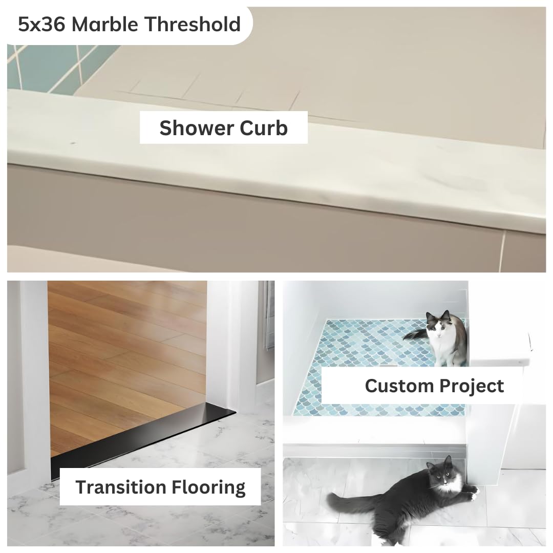 Marble Threshold Bathroom