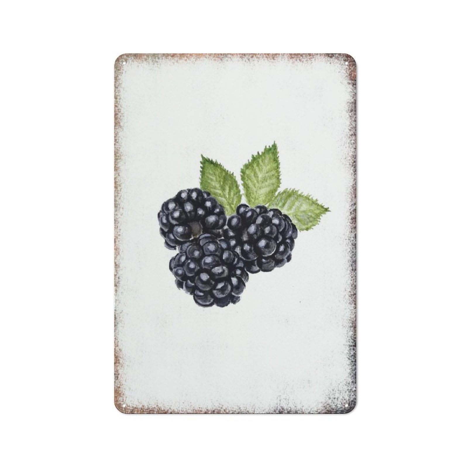 Blackberry Watercolor Art Plaque, Wild Fruit Fresh Style Wall Decor, Restaurant Cafe Yard Garage,8x12 Inch