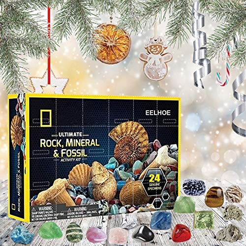 OLOPE Rocks & Fossils Kit, Earth Science Kit, Rock & Mineral Collection Activity Kit, 24 Piece Rocks Collection 2020 Count Down Advent Calendar, Educational Toys for Kids (Multicolor)
