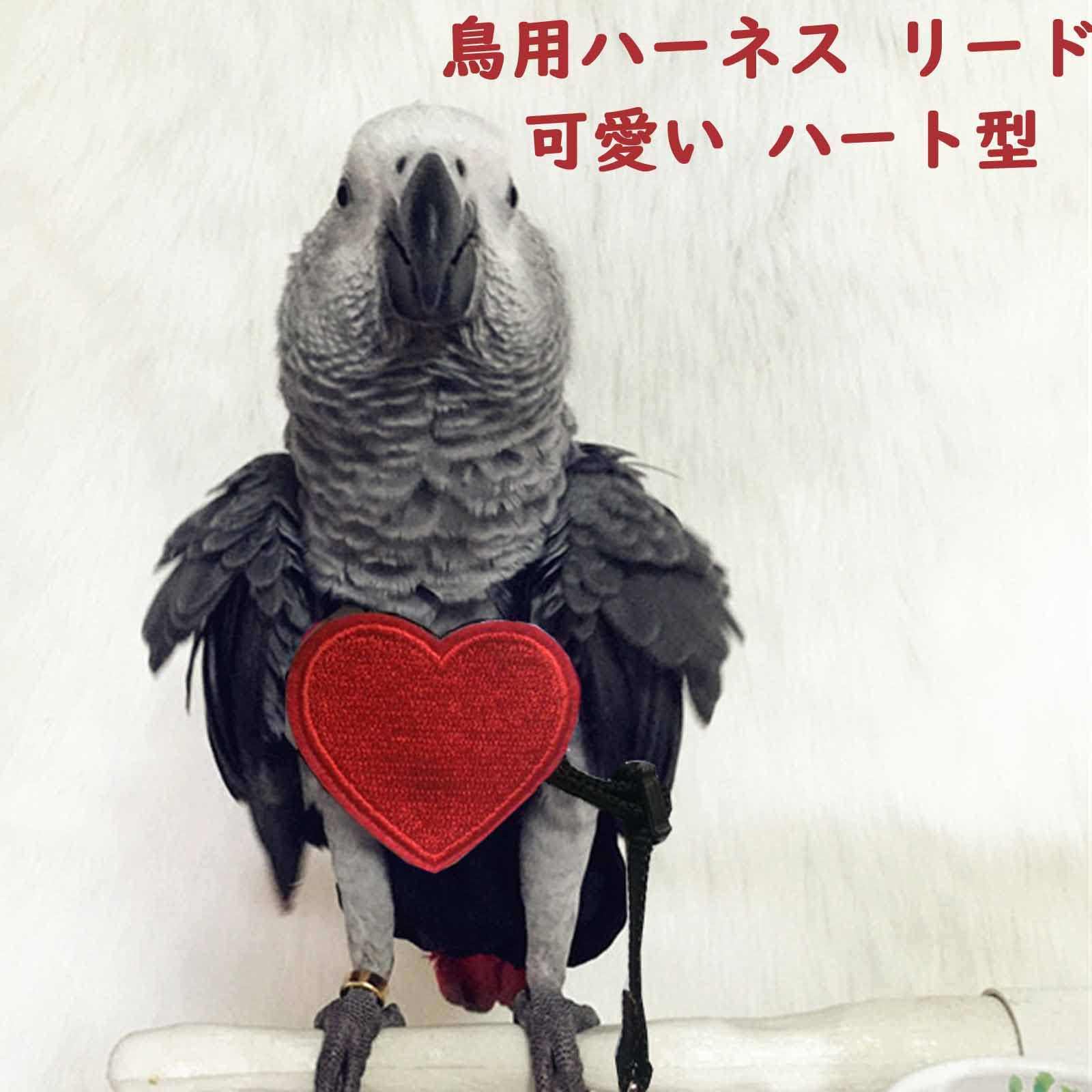 Amazon | 鳥用ハーネス リード オウムハーネス 小鳥のリード 可愛い 