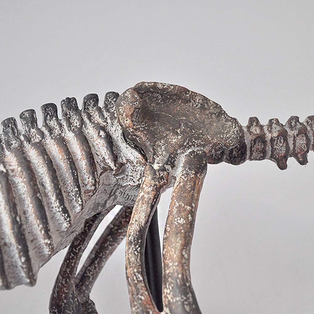 Escultura Escultura De Hueso De Dinosaurio, Esqueleto Fósil De Dinosaurio Modelo Arte Estatua Decoración del Hogar Artesanía Adorno De Escritorio 78 * 45 Cm Decoración De Estantería