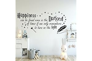 Harry Potter Theme Wall Quote Decal: Find Happiness in the Darkness