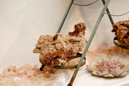 Miniatura 5 de Mineralist Collection Piedras curativas, trozo de aragonita de alta energía, cristal espiritual decorativo, trozo natural para meditación, chakra,