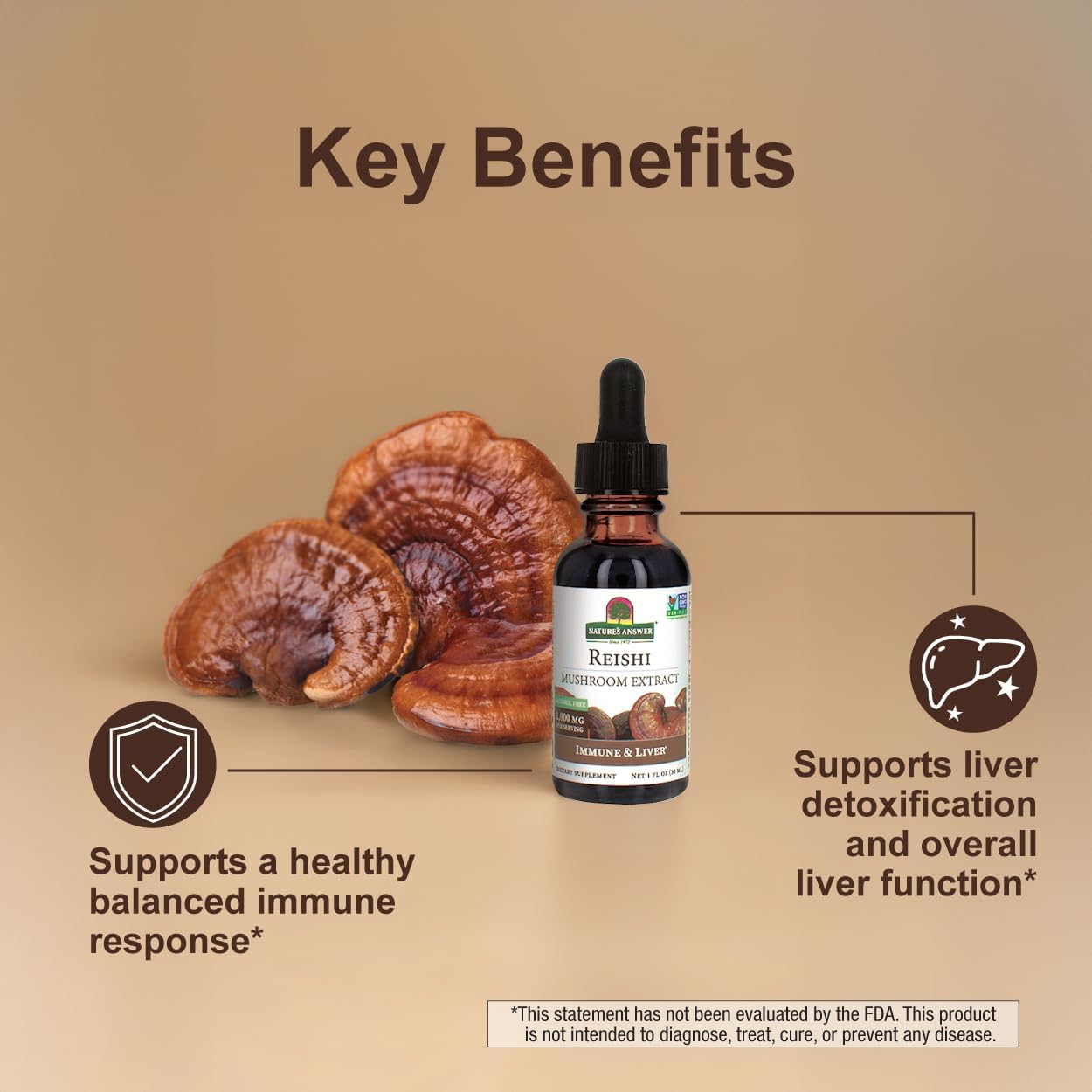 Nature's Answer Reishi, Mushroom Extract, Alcohol Free, 1 fl oz (30 ml) - Image 6