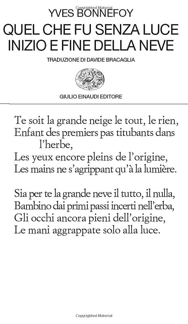Quel che fu senza luce. Inizio e fine della neve (Collezione di poesia)