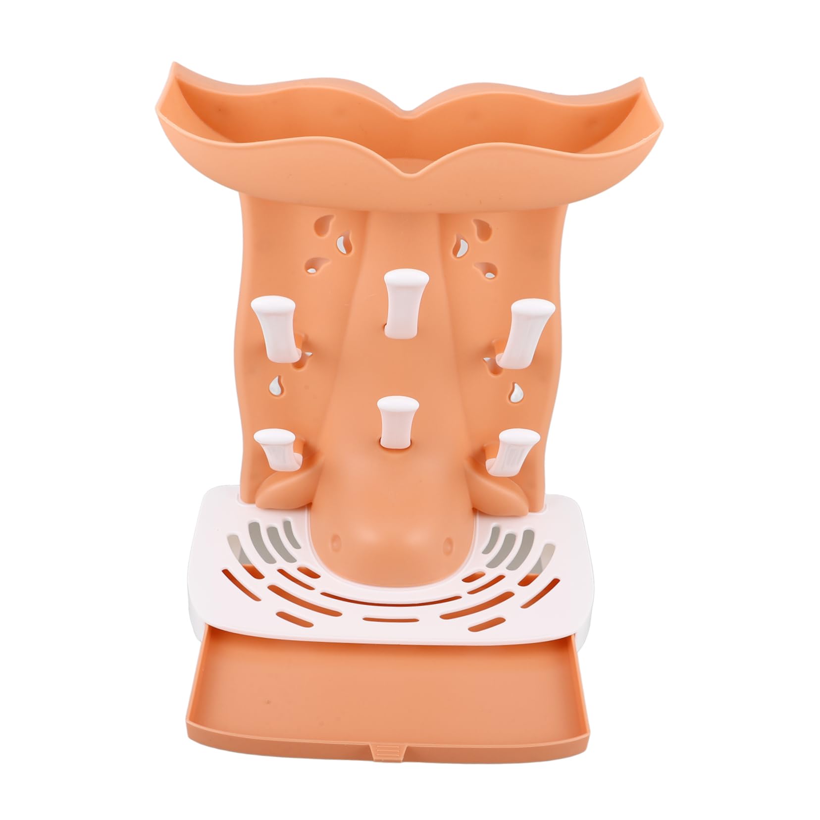 HANABASS Portable Bottle Drying Rack Efficient Space Saving Stand for Home Use Durable Design for Quick Water Drainage Versatile for Bottles Glasses and Cups