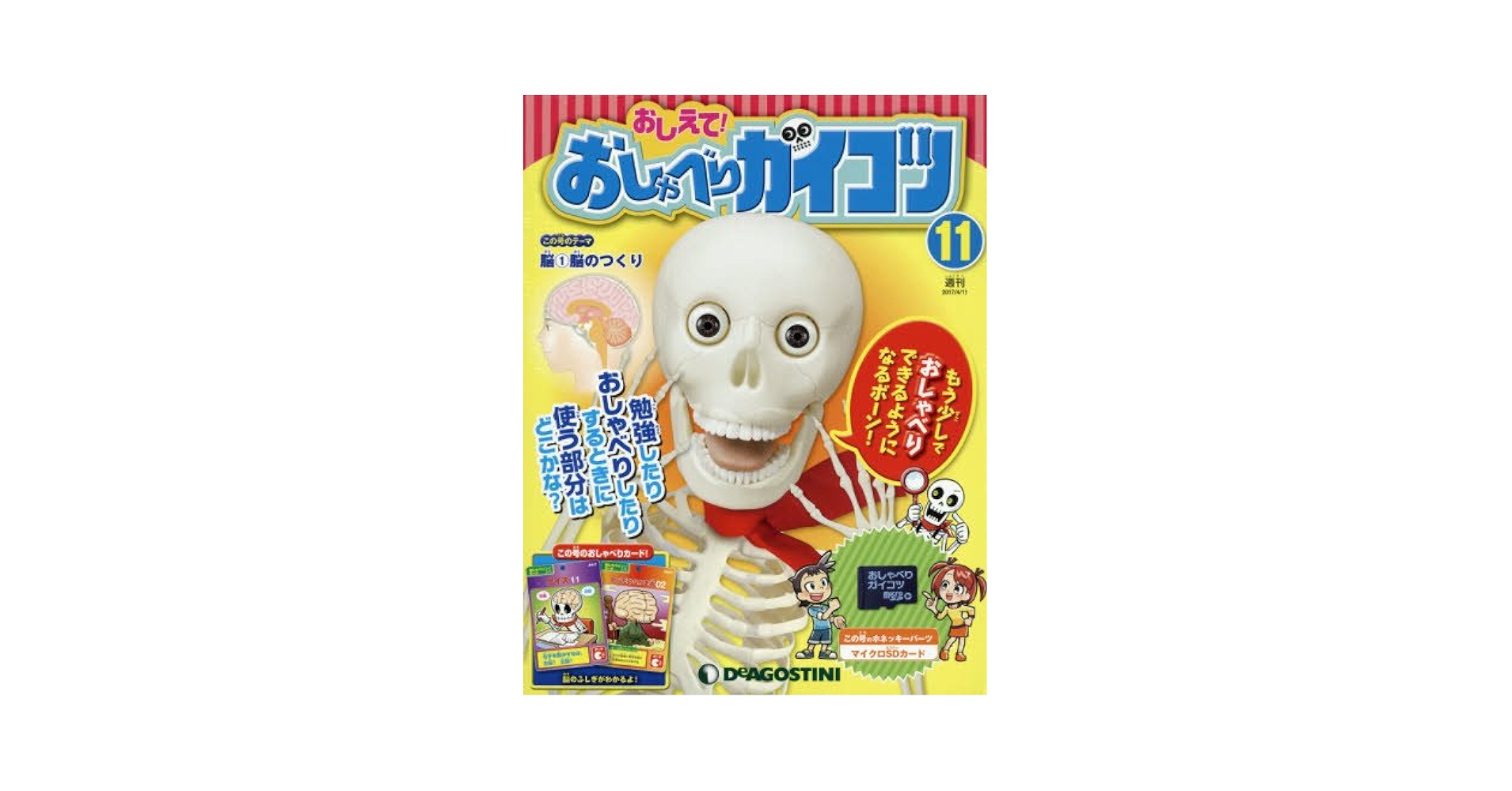 週刊 おしえて! おしゃべりガイコツ １号〜70号 Amazon.co.jp: おしえて! おしゃべりガイコツ 70号 (人とからだ