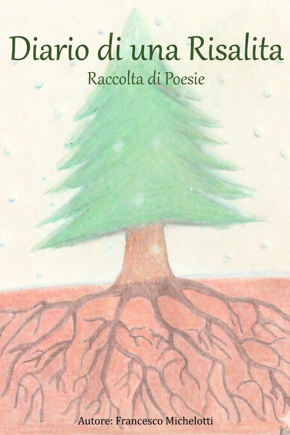 Diario di una risalita: Raccolta di poesie